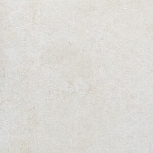 Evolution White 600x600