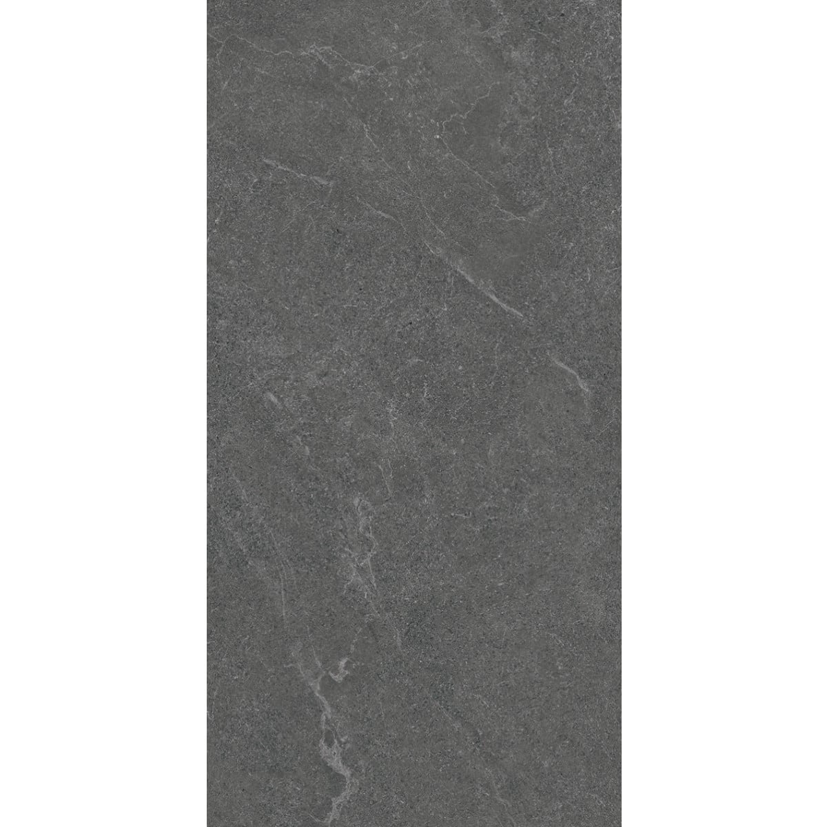 Venus Dark Grey 300x600